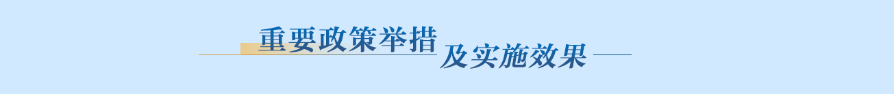 重要政策舉措及實施效果